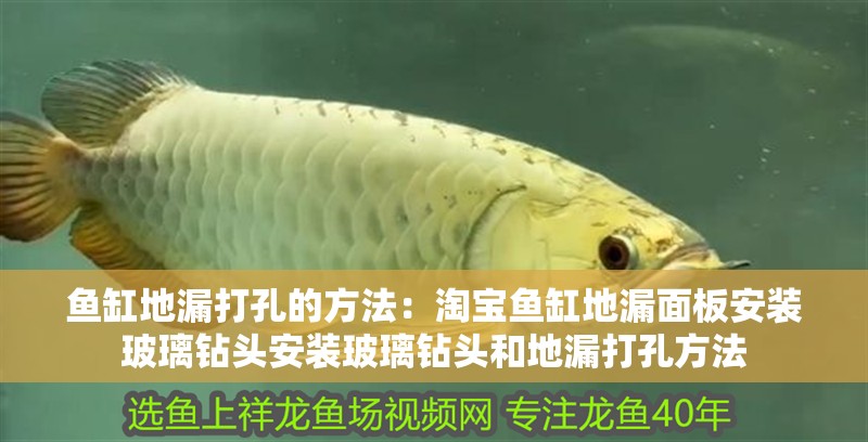魚缸地漏打孔的方法：淘寶魚缸地漏面板安裝玻璃鉆頭安裝玻璃鉆頭和地漏打孔方法 魚缸地漏打孔的方法：淘寶魚缸地漏面板安裝玻璃鉆頭安裝玻璃鉆頭和地漏打孔方法 魚缸百科