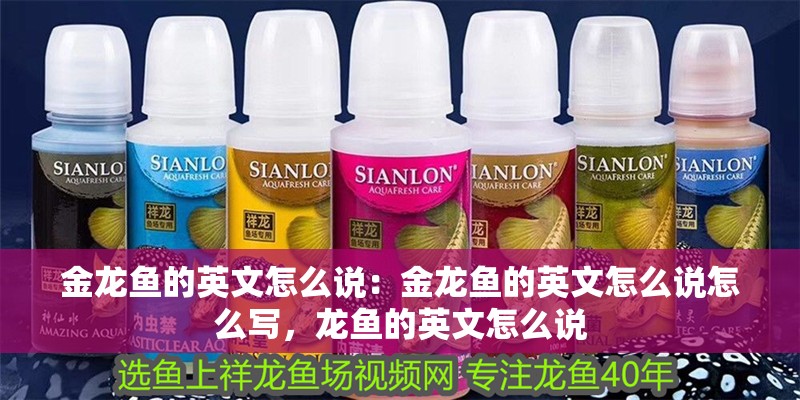 金龍魚(yú)的英文怎么說(shuō)：金龍魚(yú)的英文怎么說(shuō)怎么寫(xiě)，龍魚(yú)的英文怎么說(shuō)