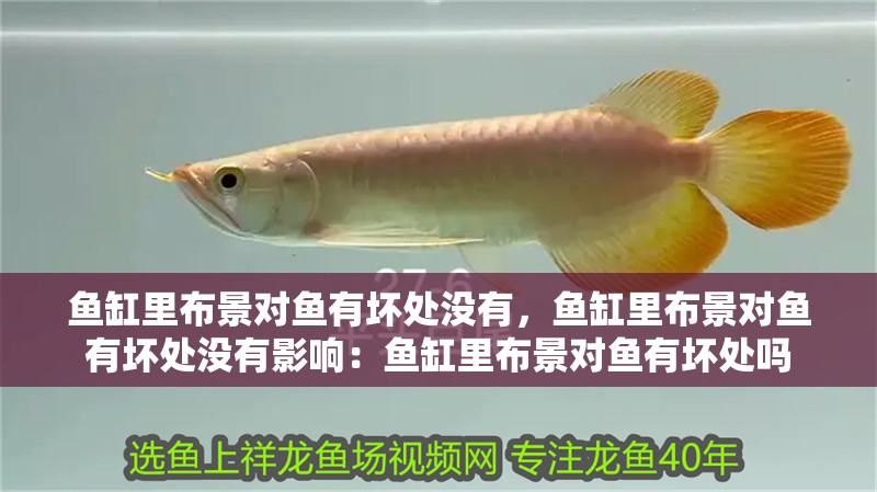 魚缸里布景對魚有壞處沒有，魚缸里布景對魚有壞處沒有影響：魚缸里布景對魚有壞處嗎