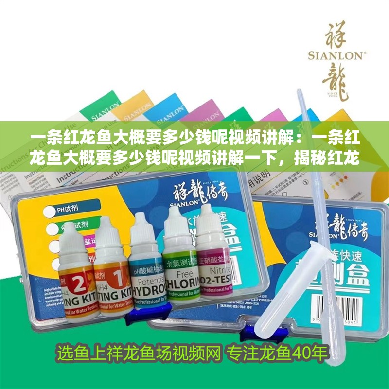 一條紅龍魚大概要多少錢呢視頻講解：一條紅龍魚大概要多少錢呢視頻講解一下，揭秘紅龍魚價格，一條究竟要多少錢