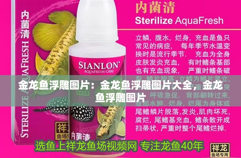 金龍魚浮雕圖片：金龍魚浮雕圖片大全，金龍魚浮雕圖片