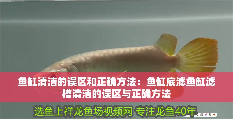 魚缸清潔的誤區(qū)和正確方法：魚缸底濾魚缸濾槽清潔的誤區(qū)與正確方法