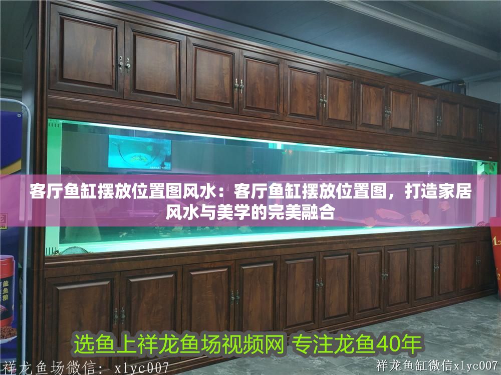 客廳魚缸擺放位置圖風水：客廳魚缸擺放位置圖，打造家居風水與美學的完美融合