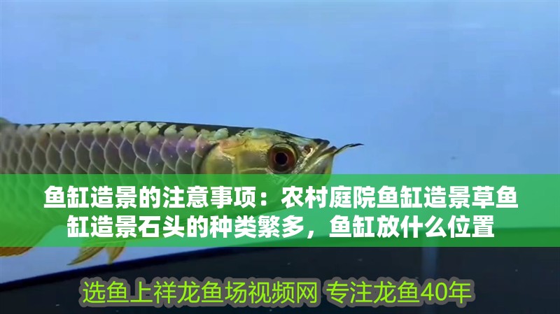 魚缸造景的注意事項：農(nóng)村庭院魚缸造景草魚缸造景石頭的種類繁多，魚缸放什么位置
