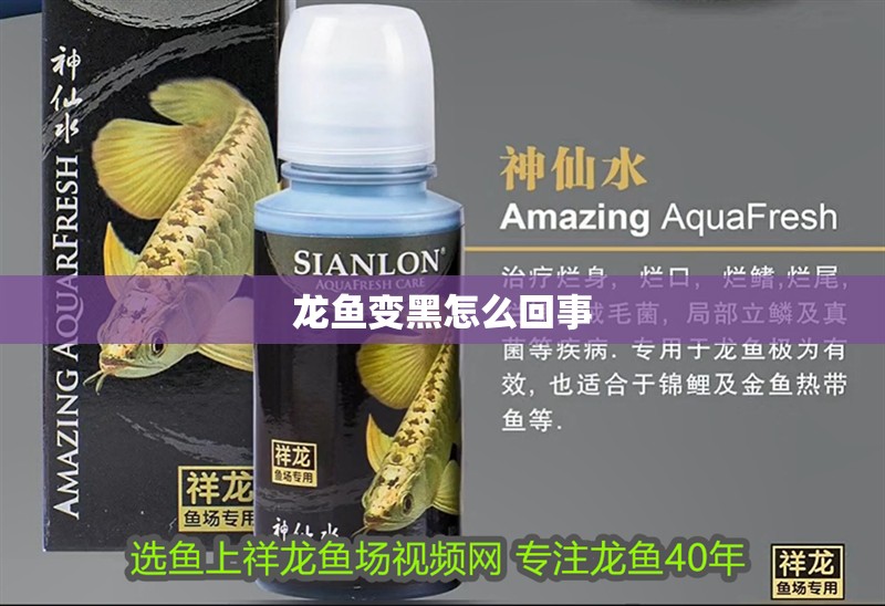 龍魚變黑怎么回事
