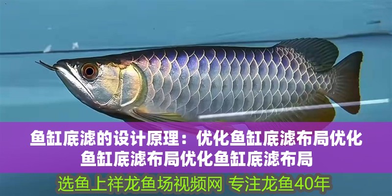 魚缸底濾的設計原理：優(yōu)化魚缸底濾布局優(yōu)化魚缸底濾布局優(yōu)化魚缸底濾布局