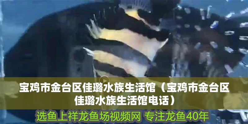 寶雞市金臺區佳璐水族生活館（寶雞市金臺區佳璐水族生活館電話）