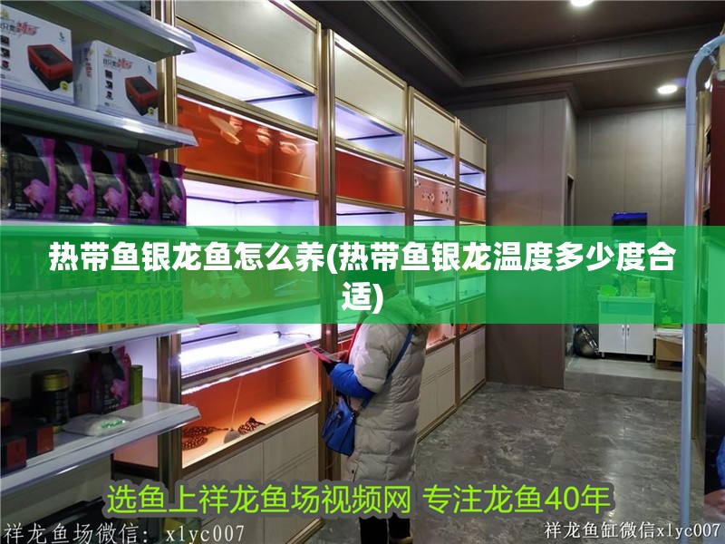 熱帶魚銀龍魚怎么養(熱帶魚銀龍溫度多少度合適)