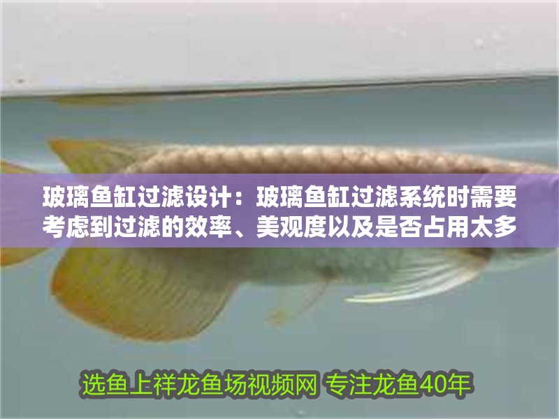 玻璃魚缸過濾設(shè)計(jì)：玻璃魚缸過濾系統(tǒng)時(shí)需要考慮到過濾的效率、美觀度以及是否占用太多的空間