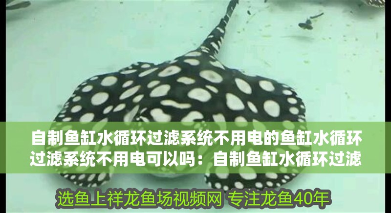 自制魚缸水循環過濾系統不用電的魚缸水循環過濾系統不用電可以嗎：自制魚缸水循環過濾系統不用電可以嗎