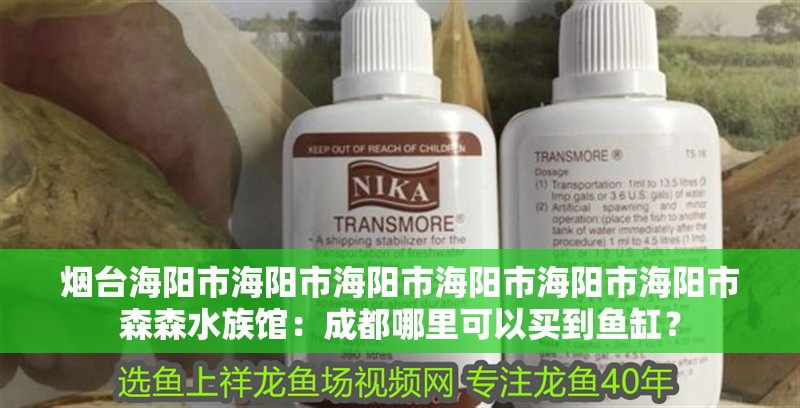 煙臺海陽市海陽市海陽市海陽市海陽市海陽市森森水族館：成都哪里可以買到魚缸？