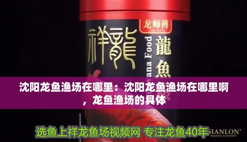 沈陽龍魚漁場在哪里：沈陽龍魚漁場在哪里啊，龍魚漁場的具體