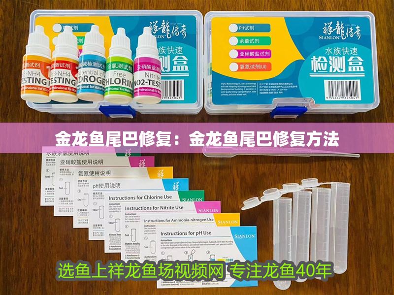 金龍魚尾巴修復：金龍魚尾巴修復方法