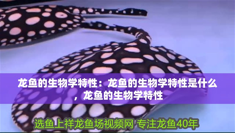 龍魚的生物學特性：龍魚的生物學特性是什么，龍魚的生物學特性