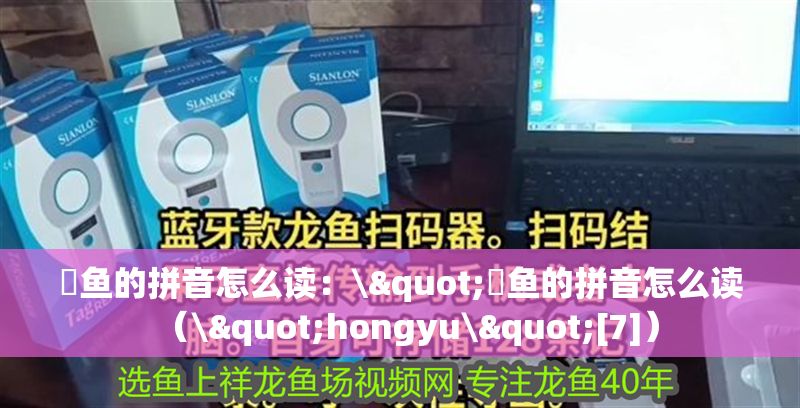 魟魚的拼音怎么讀：\"魟魚的拼音怎么讀（\"hongyu\"[7]） 魟魚的拼音怎么讀：\"魟魚的拼音怎么讀（\"hongyu\"[7]） 魟魚百科 第2張