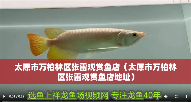 太原市萬柏林區(qū)張雷觀賞魚店（太原市萬柏林區(qū)張雷觀賞魚店地址）