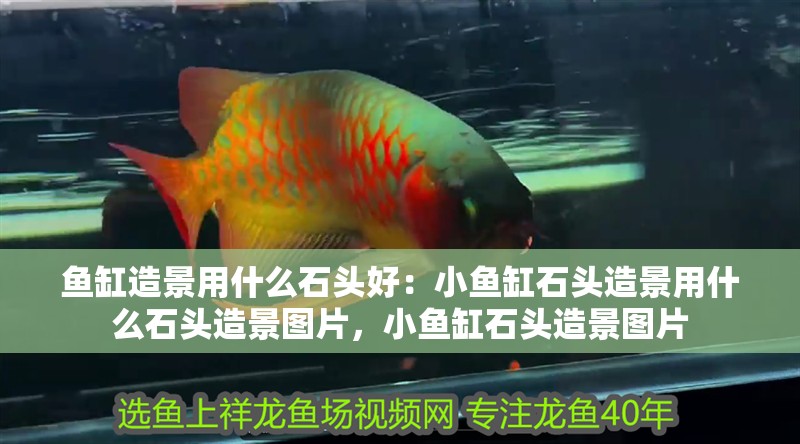 魚缸造景用什么石頭好：小魚缸石頭造景用什么石頭造景圖片，小魚缸石頭造景圖片