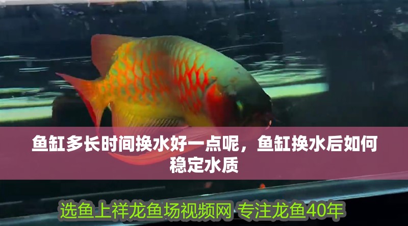 魚缸多長時間換水好一點呢，魚缸換水后如何穩定水質