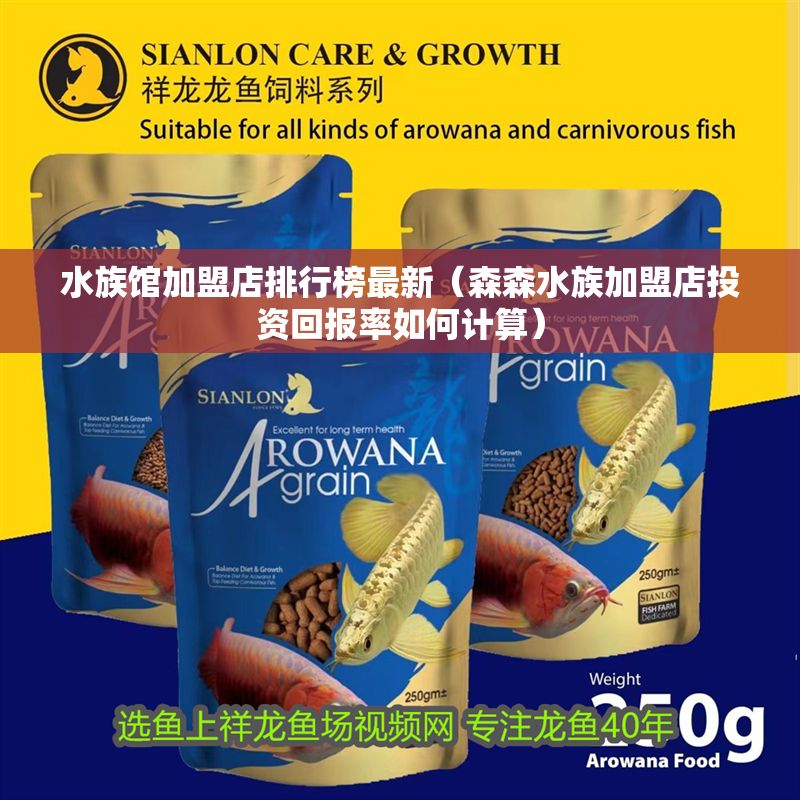 水族館加盟店排行榜最新（森森水族加盟店投資回報率如何計算）