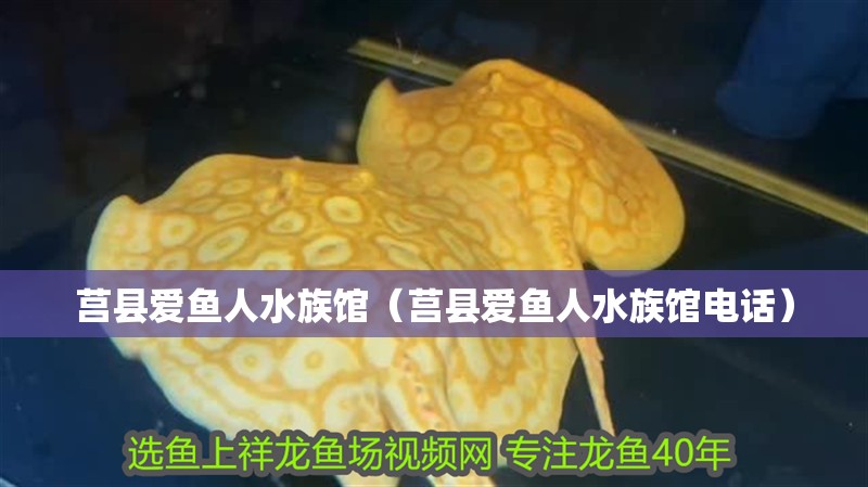 莒縣愛魚人水族館（莒縣愛魚人水族館電話） 莒縣愛魚人水族館（莒縣愛魚人水族館電話） 全國水族館企業(yè)名錄 第2張