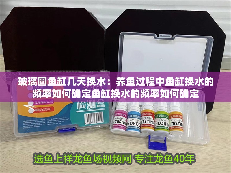 玻璃圓魚缸幾天換水：養魚過程中魚缸換水的頻率如何確定魚缸換水的頻率如何確定