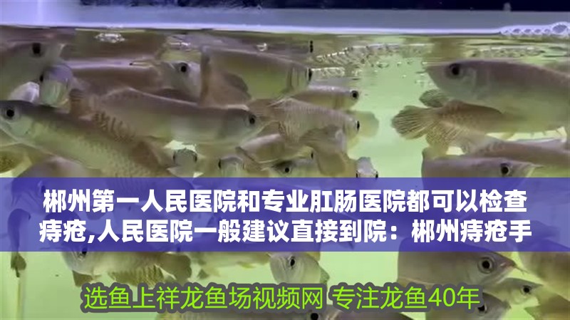 郴州第一人民醫(yī)院和專業(yè)肛腸醫(yī)院都可以檢查痔瘡,人民醫(yī)院一般建議直接到院：郴州痔瘡手術(shù)費(fèi)用