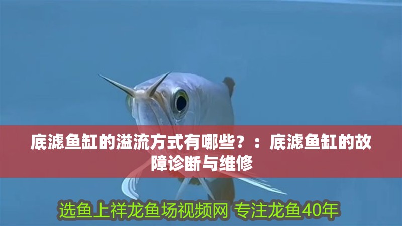 底濾魚缸的溢流方式有哪些？：底濾魚缸的故障診斷與維修