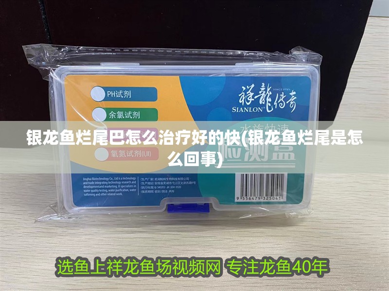 銀龍魚爛尾巴怎么治療好的快(銀龍魚爛尾是怎么回事)