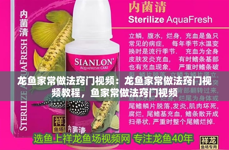 龍魚家常做法竅門視頻：龍魚家常做法竅門視頻教程，魚家常做法竅門視頻