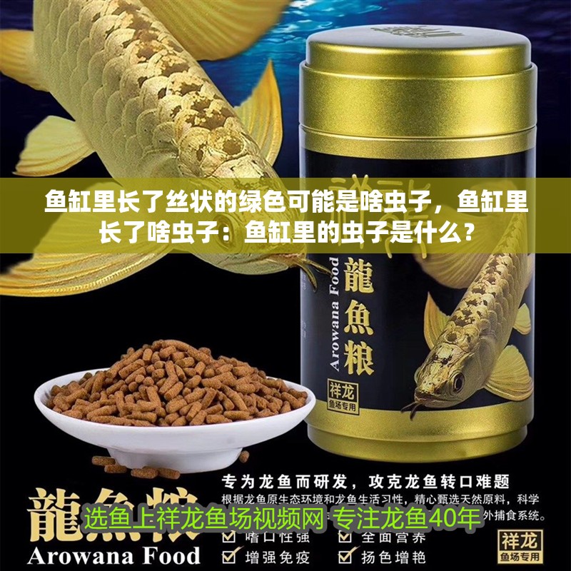 魚缸里長了絲狀的綠色可能是啥蟲子，魚缸里長了啥蟲子：魚缸里的蟲子是什么？