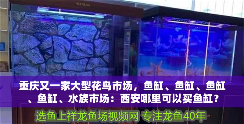 重慶又一家大型花鳥市場，魚缸、魚缸、魚缸、魚缸、水族市場：西安哪里可以買魚缸？