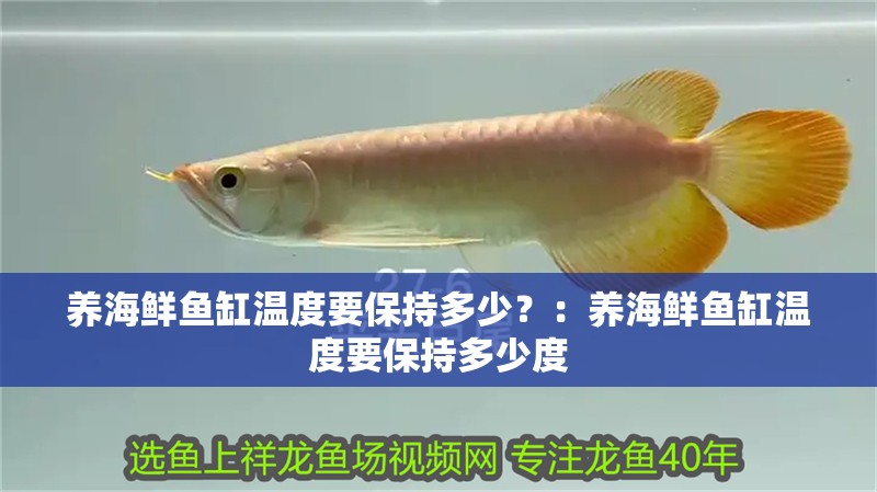養(yǎng)海鮮魚缸溫度要保持多少？：養(yǎng)海鮮魚缸溫度要保持多少度