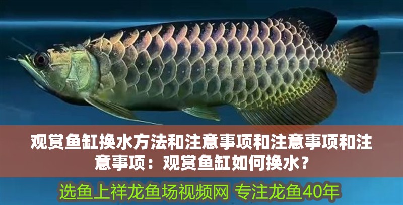 觀賞魚(yú)缸換水方法和注意事項(xiàng)和注意事項(xiàng)和注意事項(xiàng)：觀賞魚(yú)缸如何換水？