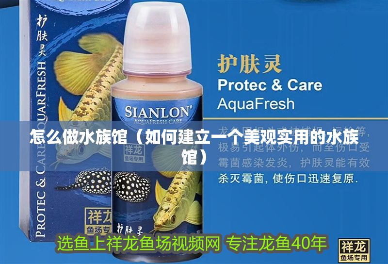 怎么做水族館（如何建立一個(gè)美觀實(shí)用的水族館）