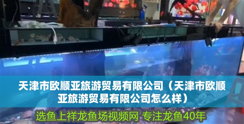 天津市歐順亞旅游貿易有限公司（天津市歐順亞旅游貿易有限公司怎么樣）