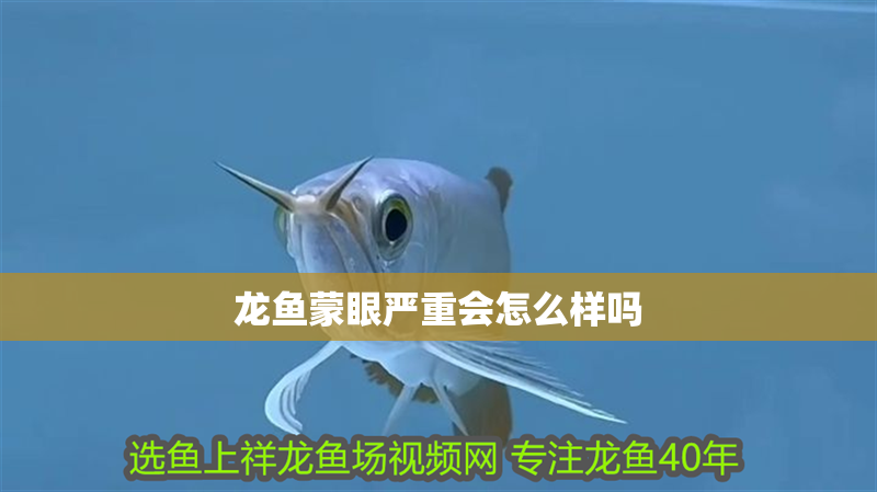 龍魚(yú)蒙眼嚴(yán)重會(huì)怎么樣嗎
