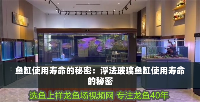魚缸使用壽命的秘密：浮法玻璃魚缸使用壽命的秘密