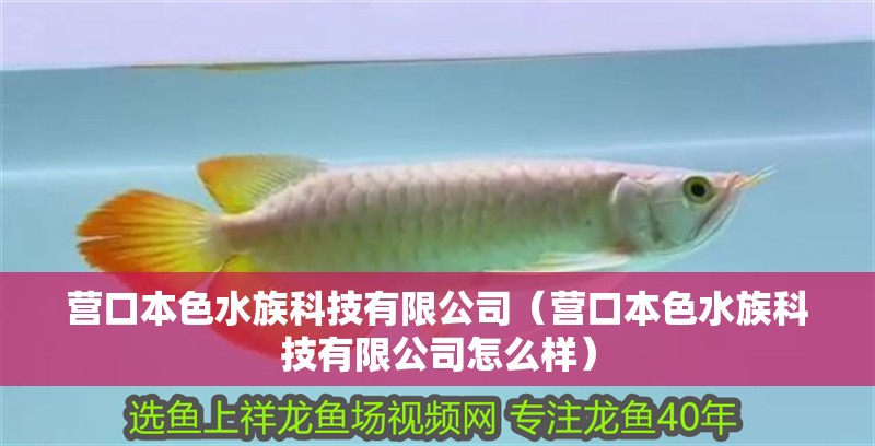 營口本色水族科技有限公司（營口本色水族科技有限公司怎么樣）