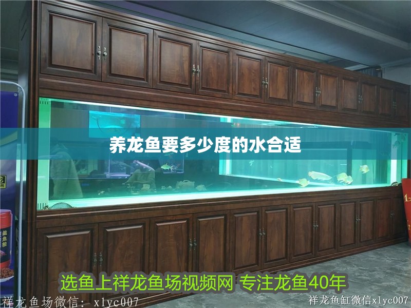 養龍魚要多少度的水合適