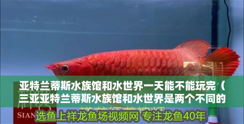 亞特蘭蒂斯水族館和水世界一天能不能玩完（三亞亞特蘭蒂斯水族館和水世界是兩個不同的主題公園）