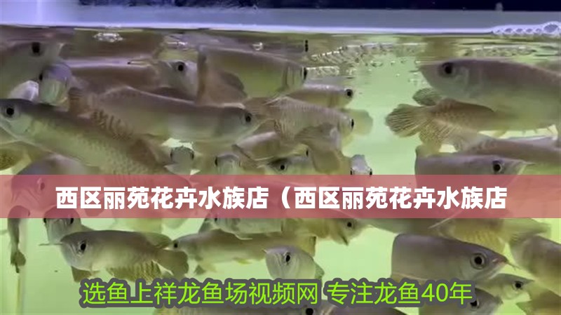 西區(qū)麗苑花卉水族店（西區(qū)麗苑花卉水族店