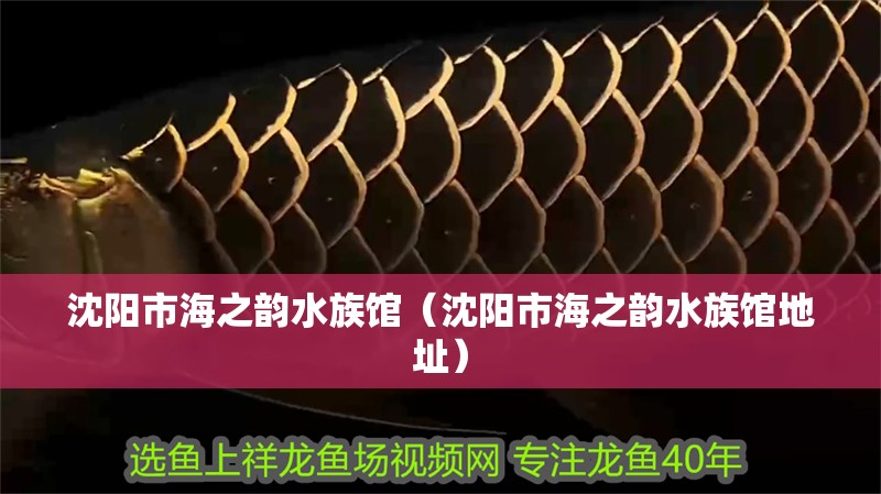 沈陽(yáng)市海之韻水族館（沈陽(yáng)市海之韻水族館地址）