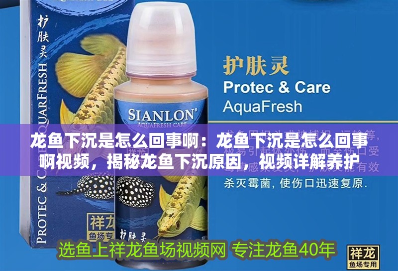 龍魚下沉是怎么回事啊：龍魚下沉是怎么回事啊視頻，揭秘龍魚下沉原因，視頻詳解養護