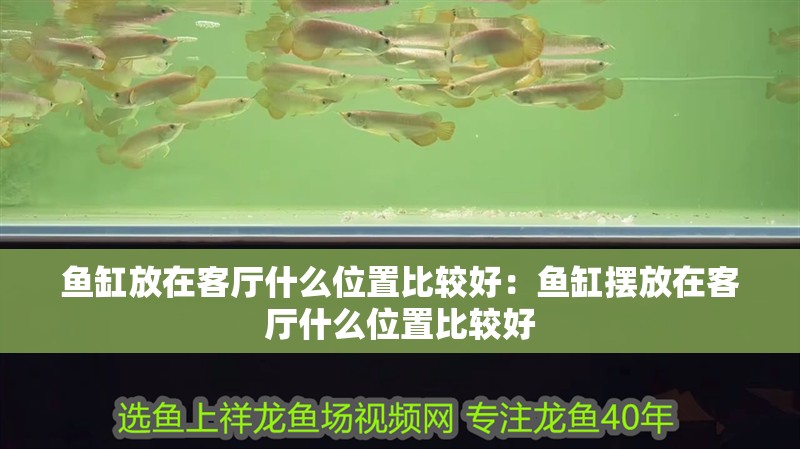 魚缸放在客廳什么位置比較好：魚缸擺放在客廳什么位置比較好