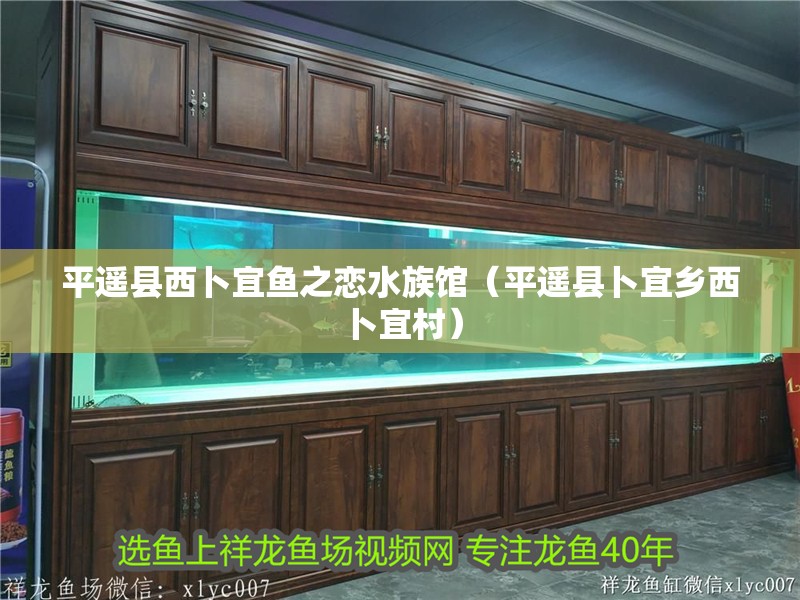 平遙縣西卜宜魚之戀水族館（平遙縣卜宜鄉西卜宜村）