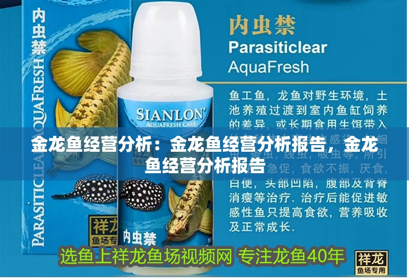 金龍魚經(jīng)營分析：金龍魚經(jīng)營分析報(bào)告，金龍魚經(jīng)營分析報(bào)告