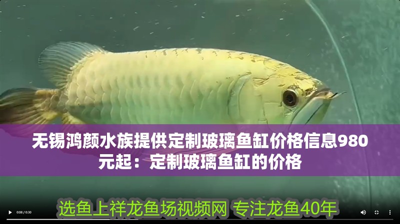 無錫鴻顏水族提供定制玻璃魚缸價格信息980元起：定制玻璃魚缸的價格