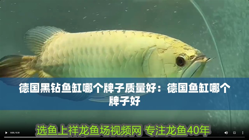德國黑鉆魚缸哪個牌子質(zhì)量好：德國魚缸哪個牌子好