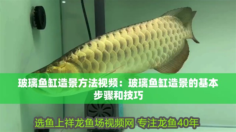 玻璃魚缸造景方法視頻：玻璃魚缸造景的基本步驟和技巧