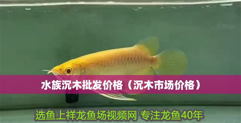 水族沉木批發價格（沉木市場價格）